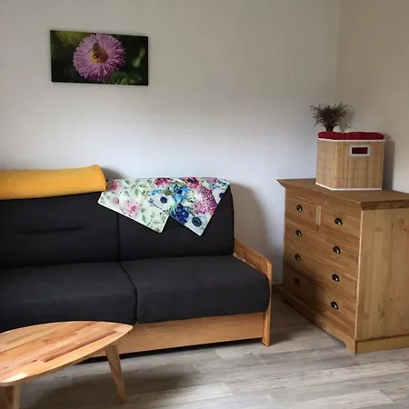Apartment Auf Der Sonnenseite Zwota